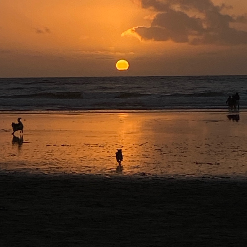 Meet your Posher, Litcy